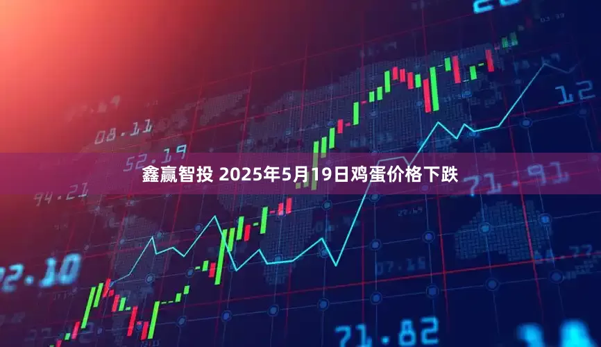 鑫赢智投 2025年5月19日鸡蛋价格下跌