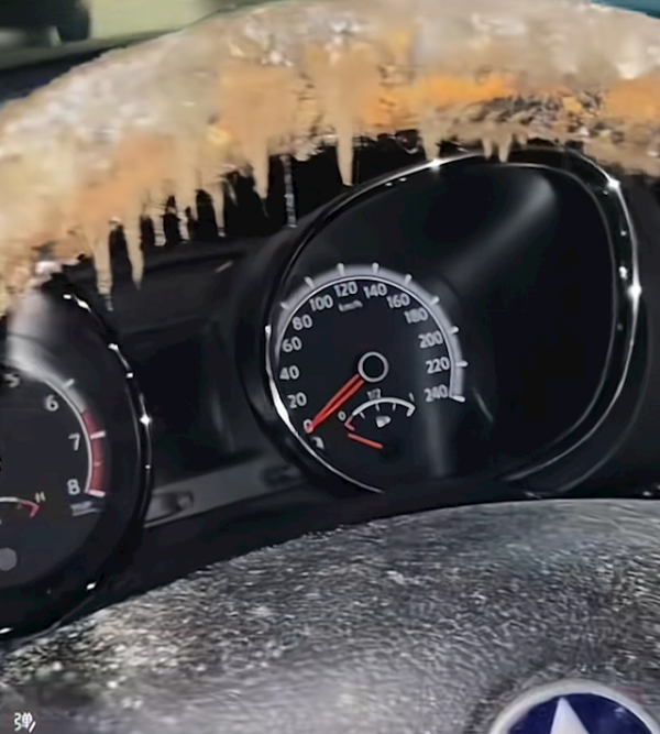 钱掌柜 女子洗车后9天未动：再次开门让人惊掉下巴